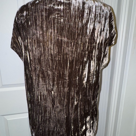Zara Metallic Gray Velvet Short Sleeve Blouse - Picture 3 of 6
